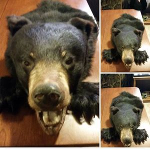 Meet your Posher, Marshall